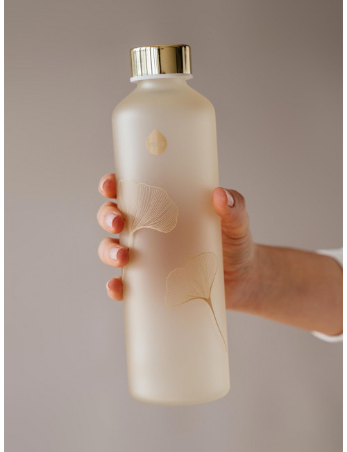 Klaaspudel 750ml Ginkgo